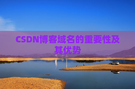 CSDN博客域名的重要性及其优势